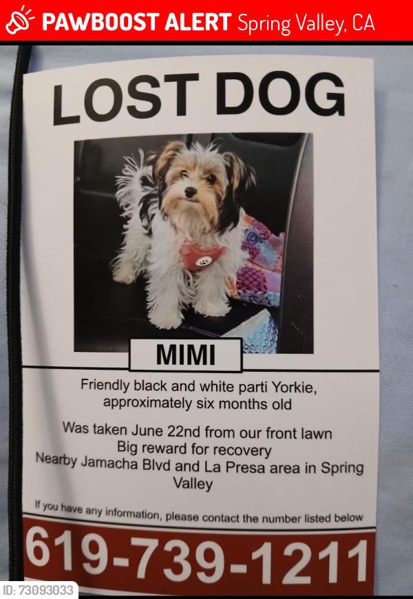 Lost Female Dog last seen Near Jamacha blvd 91977, Spring Valley, CA 91977