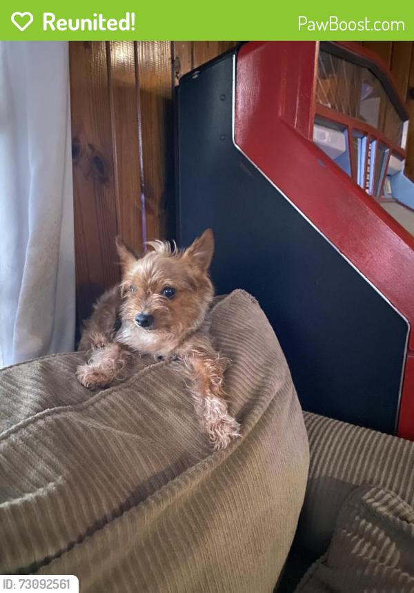 Reunited Male Dog last seen Poinsetta dr, Cherokee County, GA 30102