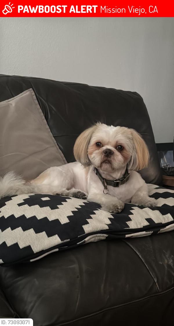 Lost Male Dog last seen La Sierra Dr, Mission Viejo, CA 92691