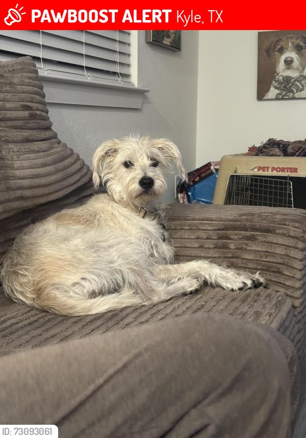 Lost Female Dog last seen Near and 2770, Kyle, TX 78640