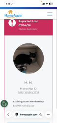 Lost Male Cat last seen Rainbow cort, Alameda, CA 94501