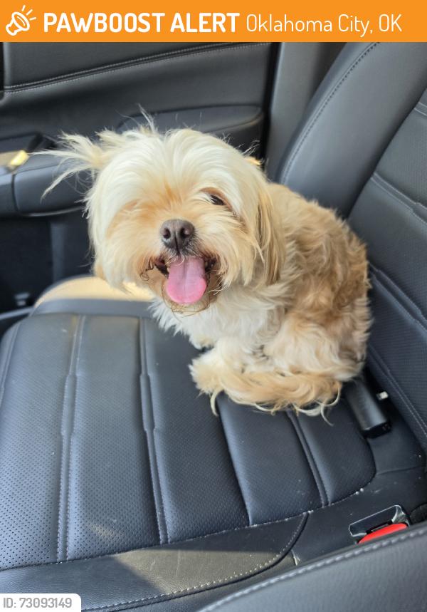 Found/Stray Female Dog last seen Melrose/rockwell, Oklahoma City, OK 73127