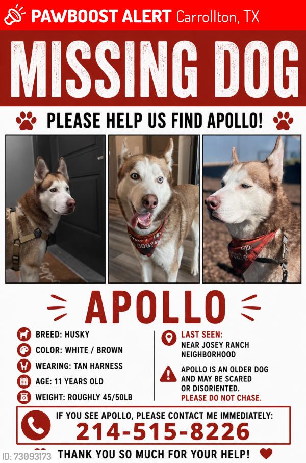 Lost Male Dog last seen Josey ranch neighborhood, Carrollton, TX 75006