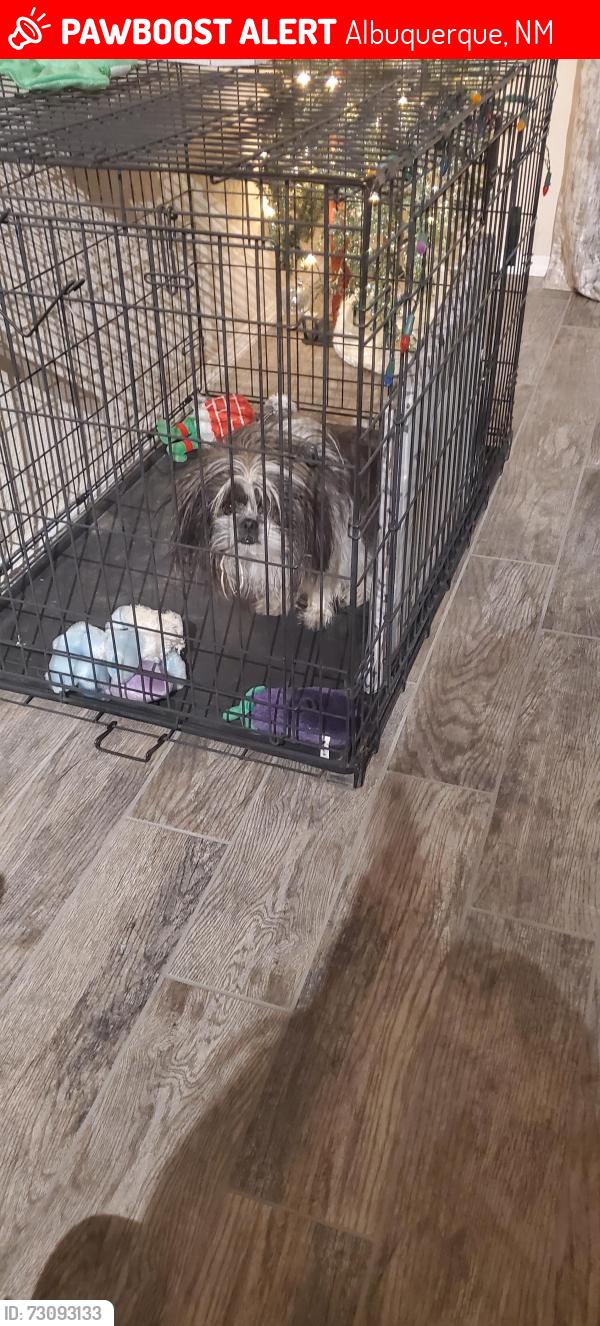 Lost Male Dog last seen Unser and Arenal, Albuquerque, NM 87121