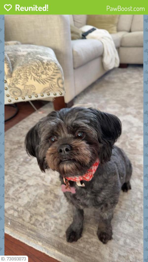 Reunited Female Dog last seen Soquel and Robertson St, Soquel, CA 95073