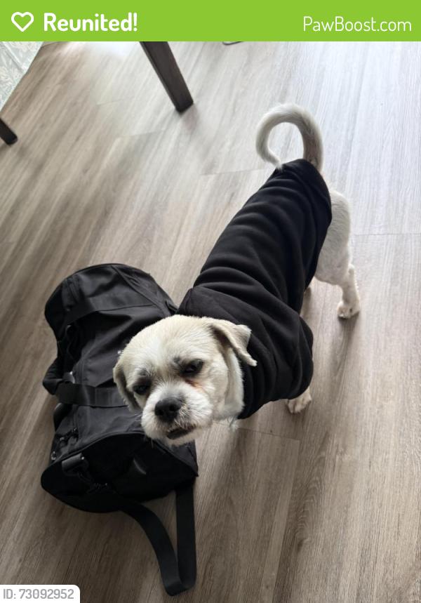 Reunited Male Dog last seen Near Delaware Dr Fremont, CA  94538 United States, Fremont, CA 94538
