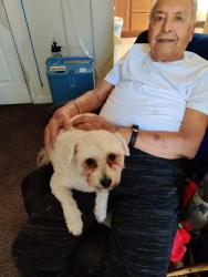 Lost Male Dog last seen Davis and Warden Ave, San Leandro, CA 94577