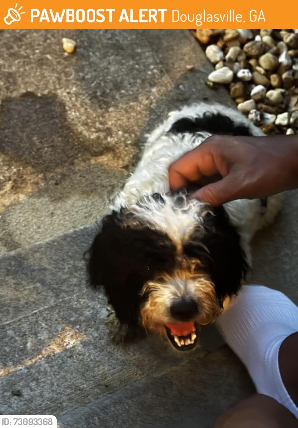 Found/Stray Male Dog last seen Anneewakee Falls off Rt 92 next to New Manchester HS, Douglasville, GA 30135