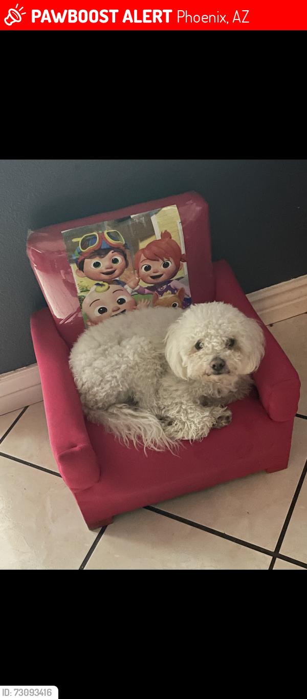 Lost Male Dog last seen 72nd ave and Coronado rd, Phoenix, AZ 85035
