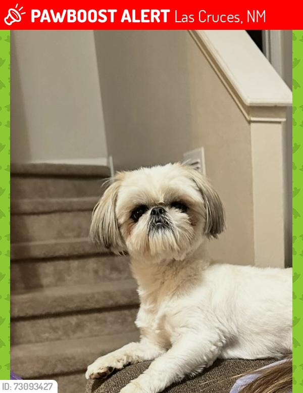 Lost Male Dog last seen La union las Cruces nm, Las Cruces, NM 88007