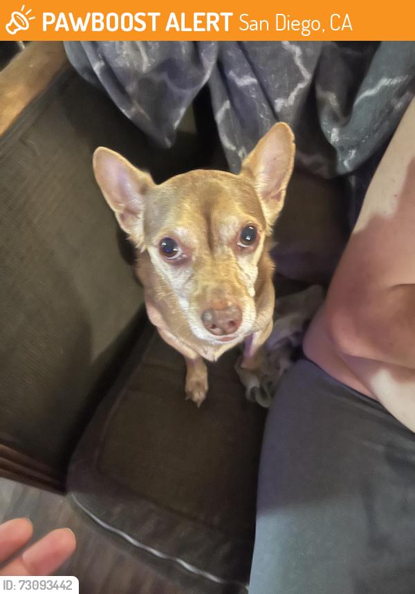 Found/Stray Male Dog last seen Imperial, San Diego, CA 92101