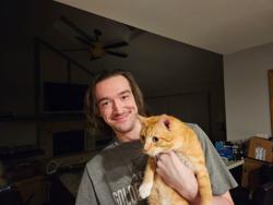 Reunited Male Cat last seen Misty Creek Dr, near commons , New Lenox, IL 60451