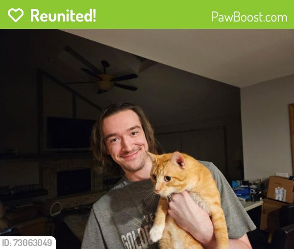 Reunited Male Cat last seen Misty Creek Dr, near commons , New Lenox, IL 60451