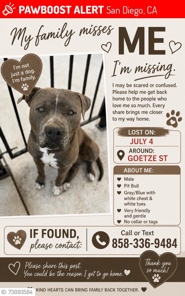 Lost Male Dog last seen Goetze st, San Diego, CA 92139