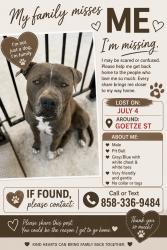 Lost Male Dog last seen Goetze st, San Diego, CA 92139