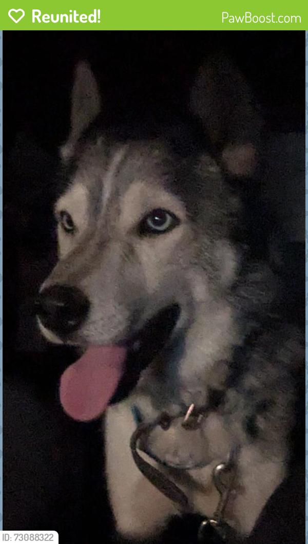 Reunited Unknown Dog last seen Starr Ave x Benicia Rd near Bud's Liquor, Vallejo, CA 94590