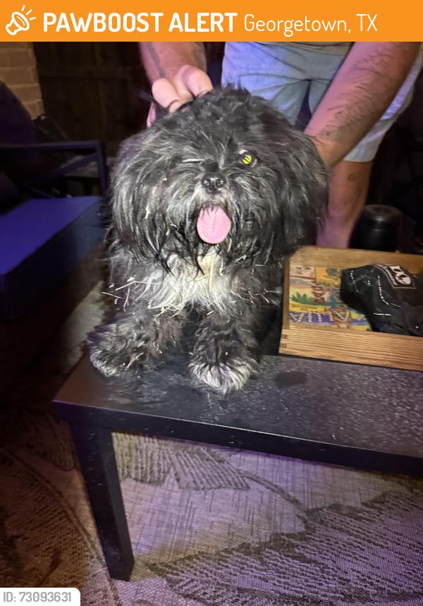 Found/Stray Unknown Dog last seen Found running down whisper creek drive, Georgetown, TX 78628
