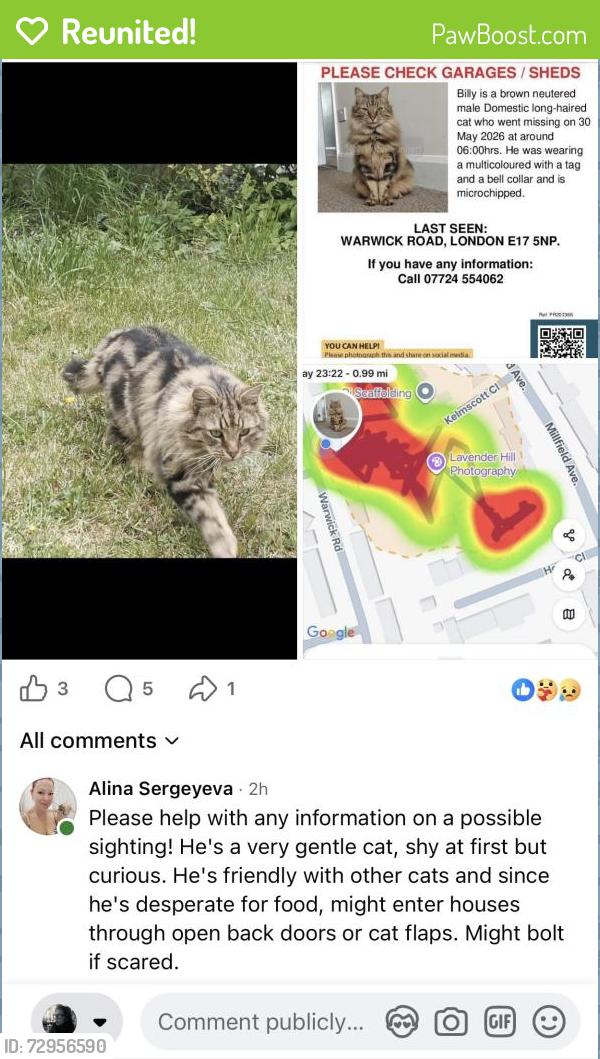 Reunited Male Cat last seen Warwick Road, Higham Hill, Greater London, England E17 5NP