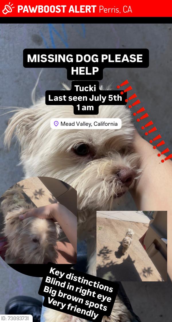 Lost Male Dog last seen Near Hunter St, Perris, CA 92570