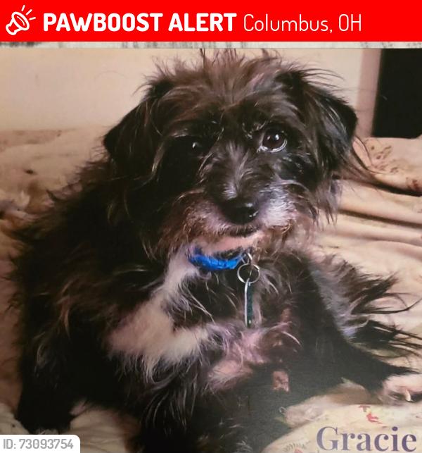 Lost Female Dog last seen Thorndale and Loxley, Columbus, OH 43207
