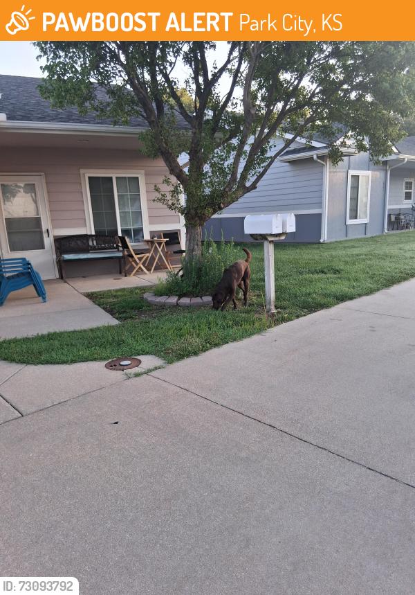 Found/Stray Male Dog last seen 61st N. and Scottsville, Charleston, Park City, KS 67219