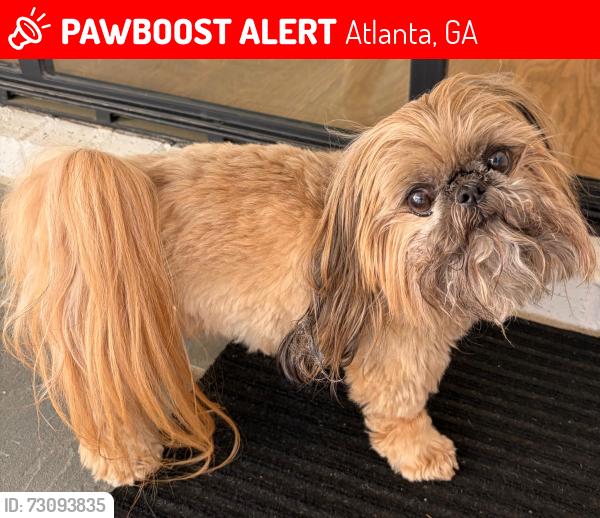 Lost Male Dog last seen Near Peachtree St NE, Atlanta, GA 30309