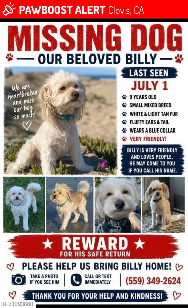 Lost Male Dog last seen Ashland and sunnyside, Clovis, CA 93612