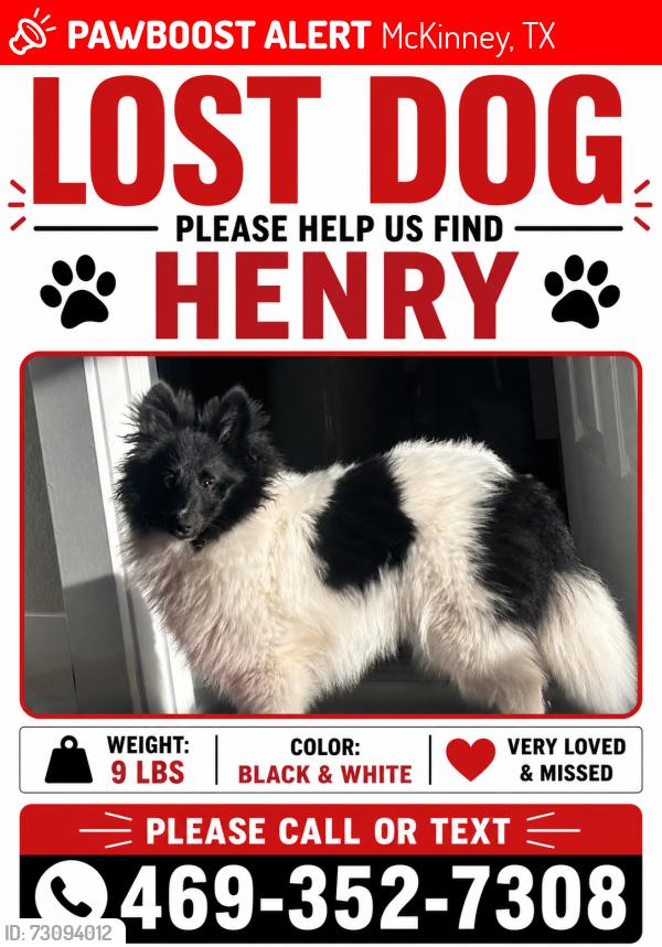 Lost Male Dog last seen Bloomberg and Ridge Road area., McKinney, TX 75071