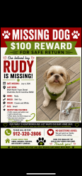 Lost Male Dog last seen Prose McCullough station, Charlotte, NC 28262