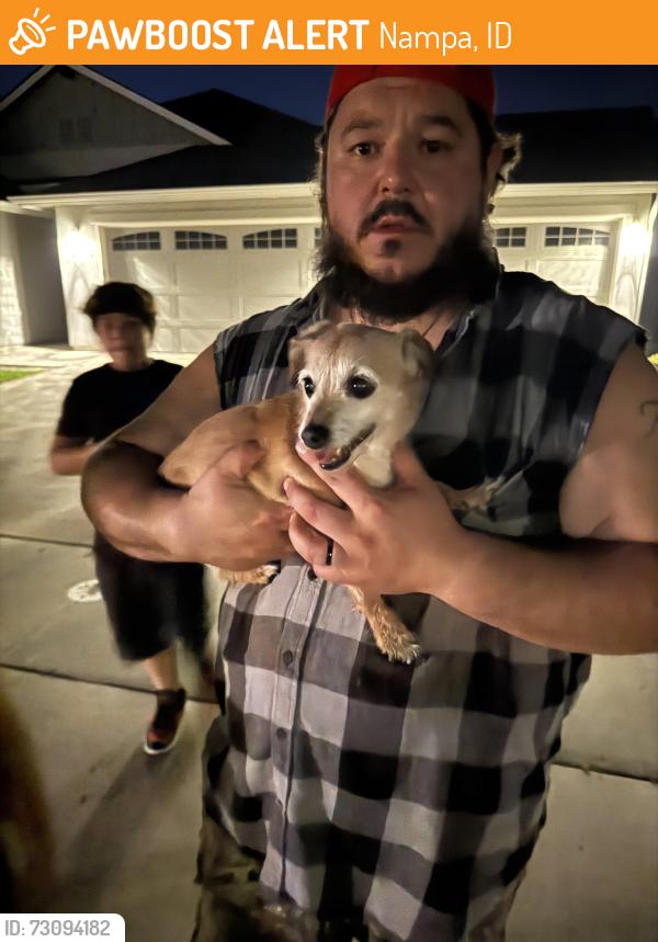 Found/Stray Male Dog last seen Benson st in brookdale, Nampa, ID 83687