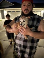 Found/Stray Male Dog last seen Benson st in brookdale, Nampa, ID 83687