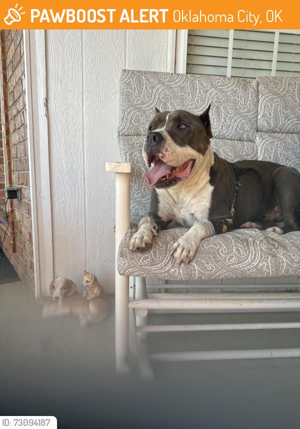 Found/Stray Male Dog last seen Bryant & Eastern, Oklahoma City, OK 73160
