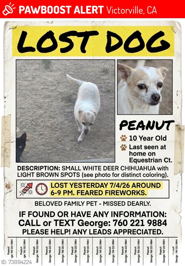 Lost Female Dog last seen Cul de sac exits to south trail with options to either Senaca Rd or Reno Loop. I dont think she'd get very far, other streets in cul de sac include Jockey Ln,Horse Wy, Painted Pony etc., Victorville, CA 92394