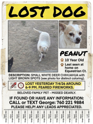 Lost Female Dog last seen Cul de sac exits to south trail with options to either Senaca Rd or Reno Loop. I dont think she'd get very far, other streets in cul de sac include Jockey Ln,Horse Wy, Painted Pony etc., Victorville, CA 92394