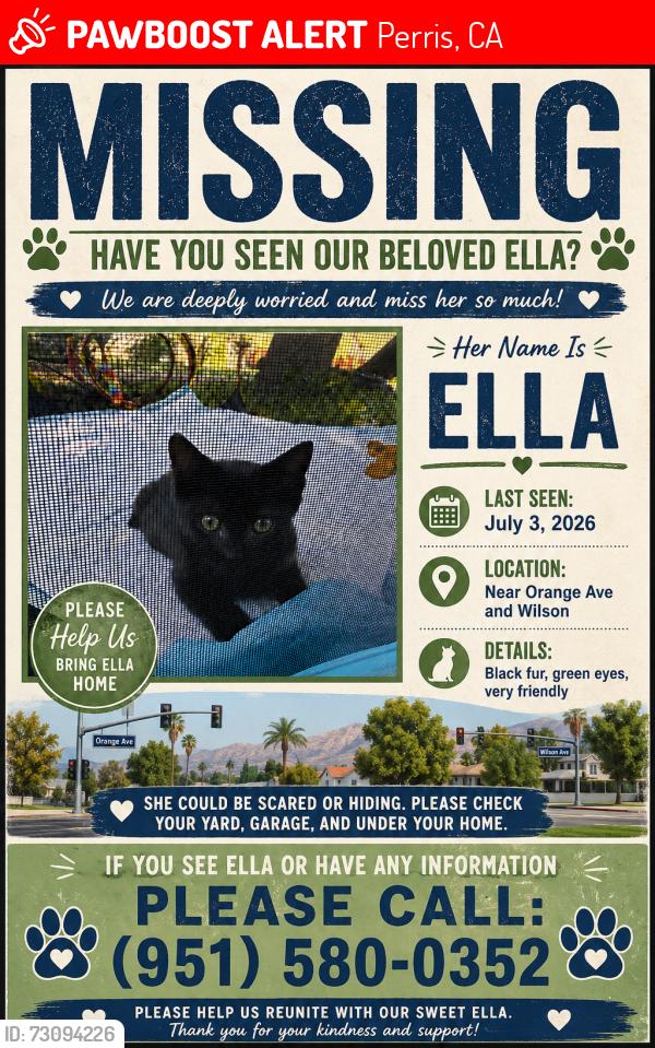 Lost Female Cat last seen Wilson Ave, Perris, CA 92571