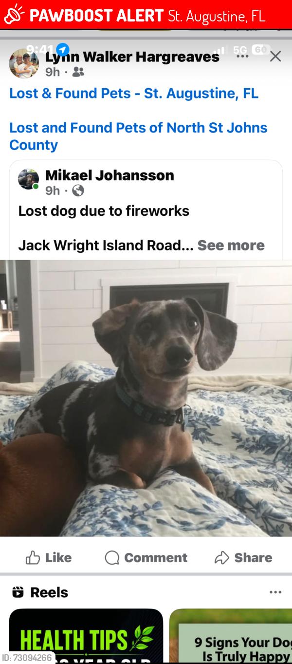 Lost Male Dog last seen Near, St. Augustine, FL 32092