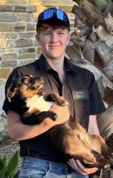 Lost Male Dog last seen E street Floresville, Floresville, TX 78114