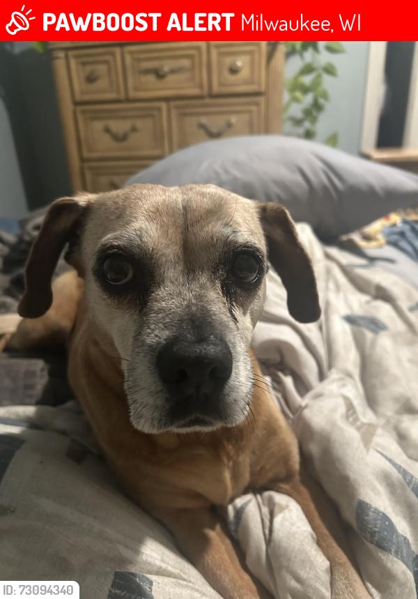 Lost Female Dog last seen Capital Dr, Milwaukee, WI 53216