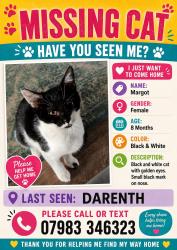 Lost Female Cat last seen Darenth Hill, Lane End, England DA2 7HR
