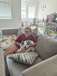 Reunited Female Dog last seen Plainview area, Fort Worth, TX 76179