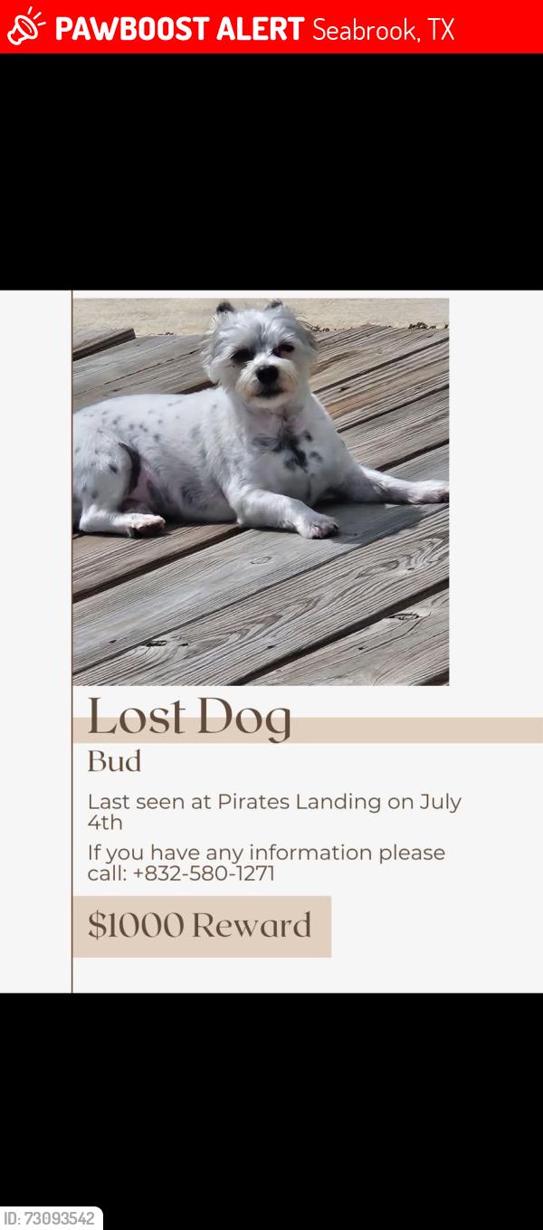 Lost Male Dog last seen Pirate's landing apt, Seabrook, TX 77586