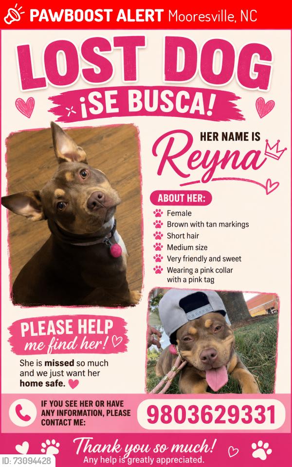 Lost Female Dog last seen Piedmont pointe crossed train tracks, Mooresville, NC 28115