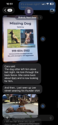 Lost Male Dog last seen Lee St, Martin Luther King St, Person, Raleigh, NC 27601