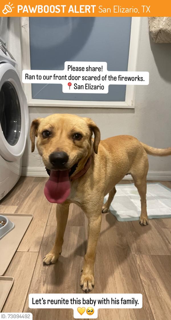 Found/Stray Male Dog last seen San Elizario HS, San Elizario, TX 79849