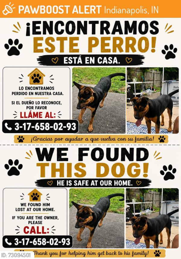 Found/Stray Male Dog last seen Brittany, Indianapolis, IN 46222