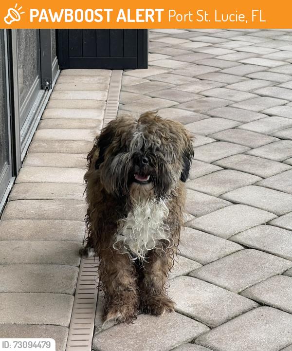 Found/Stray Male Dog last seen Glades Cut Off at back gate of PGA Village, Port St. Lucie, FL 34986