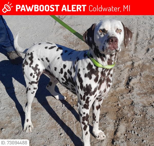 Lost Male Dog last seen Kosmerick Road, Block Road, Coldwater, MI 49036
