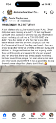 Lost Female Dog last seen University of Memphis on lambuth, Jackson, TN 38301