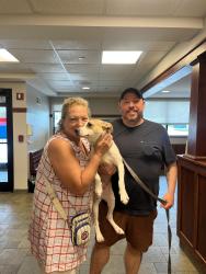Reunited Female Dog last seen I block south of downers grove South high school off of Palmer Street, Downers Grove, IL 60516