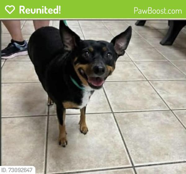 Reunited Female Dog last seen Pineapple Ave, Melbourne, FL 32935